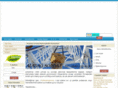 aladagsondaj.com