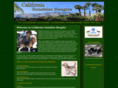 californiasunshinebeagles.com