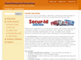omnicomputerconsulting.com