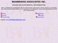 bainbridgeassoc.com