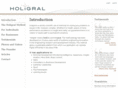 holigralinnovation.com