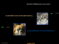 mainecoonofthelighttouches.de