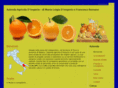 dimperioromano.com