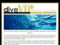 divevip.com