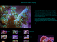kenbullimaging.com