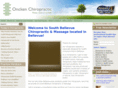 belleviewchiroparctor.com
