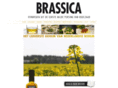 brassicaolie.nl