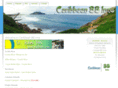 caribbeanbbinns.com