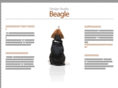 ds-beagle.com