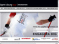 falun2015.com