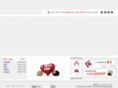 hnslong.com