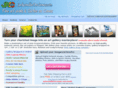 jacksonvilleoncanvas.com