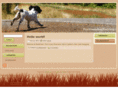 positivelydogtraining.com