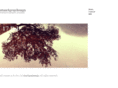 stuartgraydesign.com