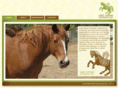 windhorsecrossing.com