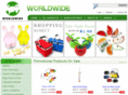 wwpromosinc.com