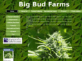 bigbudfarms.com