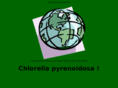 chlorella-online.de