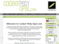 cooberpedyopal.com