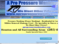 pressurewashingkingwoodtx.com