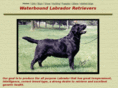 waterboundlabradors.com