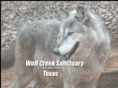 wolfcreeksanctuary.com