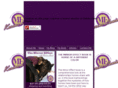 themirroreffect.com