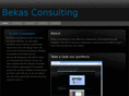 bekasconsulting.com