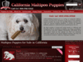 californiamaltipoopuppies.com