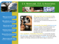 evneyecare.com