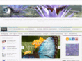 websitedesigngal.com