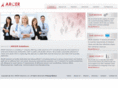arcersolutions.com