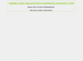 cercoagentedicommercioroma.com