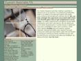 eyexamassociates.net