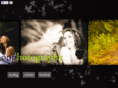 francischufoonphotography.com