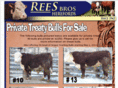 reescattle.com