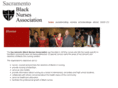 sbnainc.org