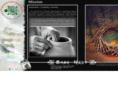 paintedturtlestudio.net