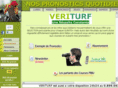 veriturf.com