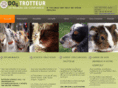 dog-trotteur.com