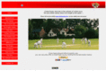 cricketpoetry.com