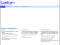gallium-intel.com
