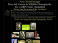 gstimages.com