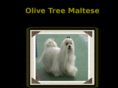 olivetreemaltese.com