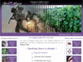 spiritofniagara.com