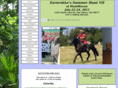 summerhunt.org