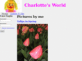 charlottestillman.com