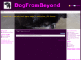 dogfrombeyond.com