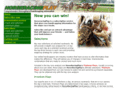 horseracingplay.com