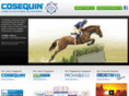 quinalyte.com